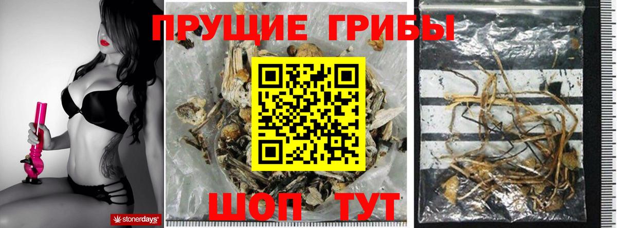 Галлюциногенные грибы прущие грибы Великие Луки