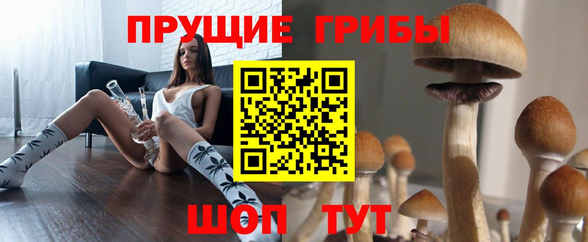 Галлюциногенные грибы Psilocybine cubensis  Вход с VPN  Великие Луки 